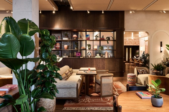 Maslows Kensington (5)